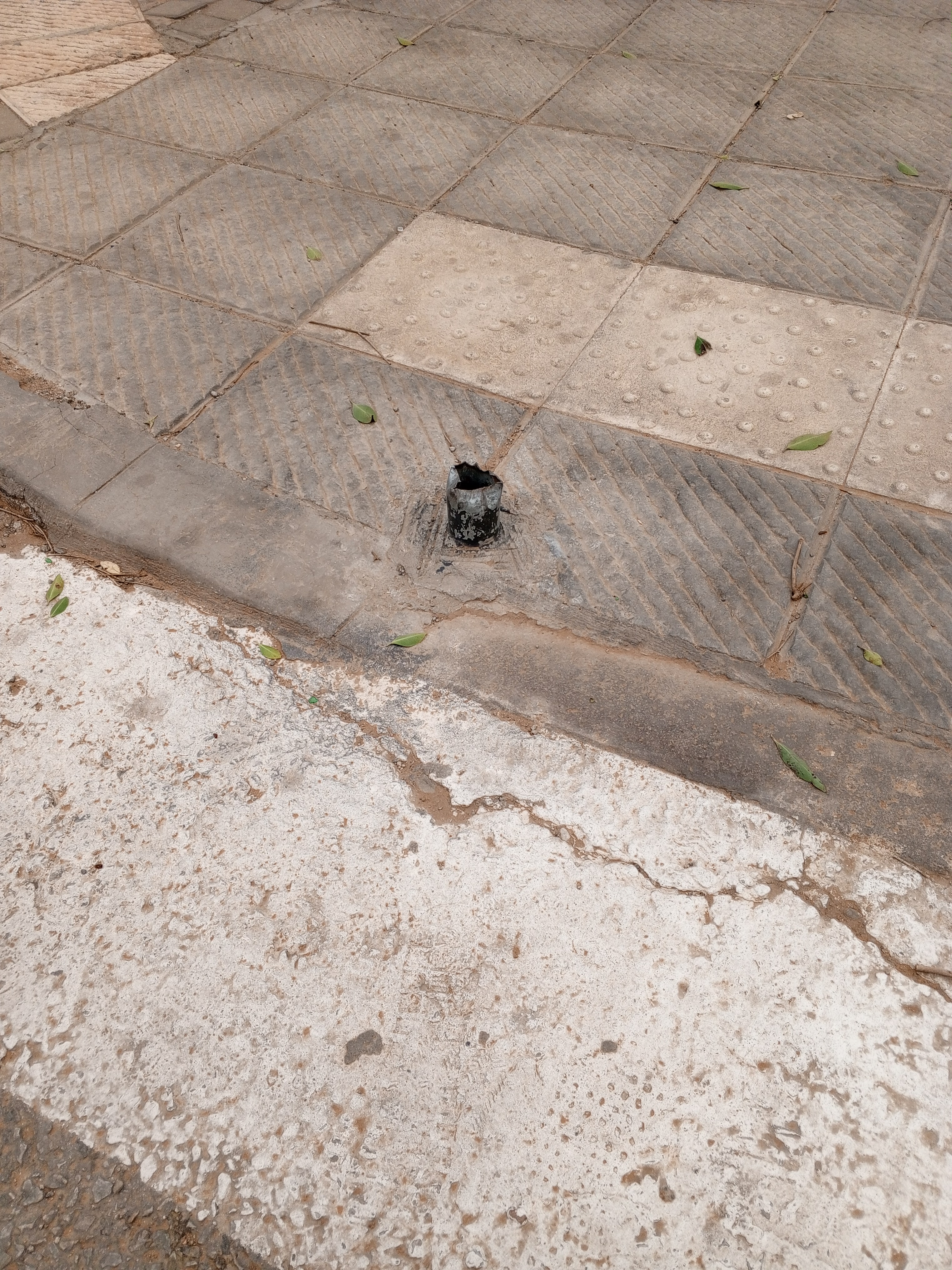 Miniature